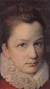 DUMOUSTIER, Pierre Portrait of a Youth oil painting